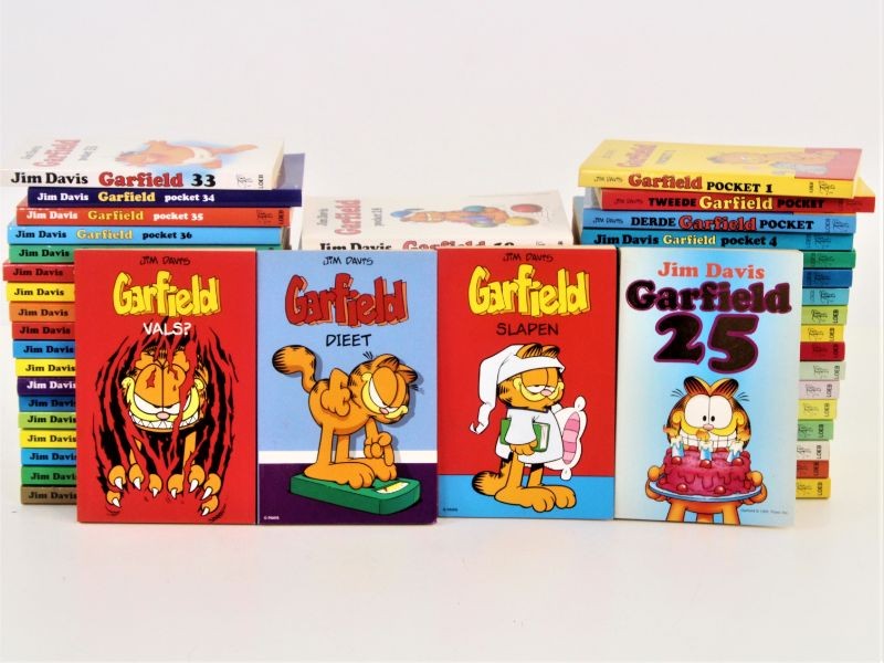 Divers lot : 50 Garfield Pockets